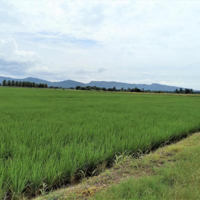 VENTA DE TERRENO DE 60 HAS. EN SAN MARTÍN